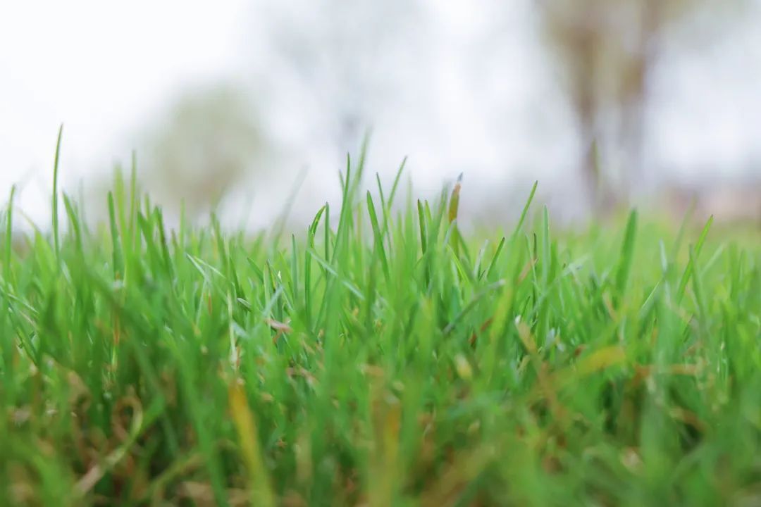 1681530553463639.jpeg 图片 5.jpg