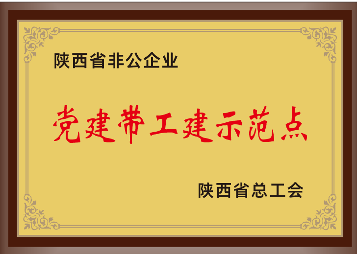 36.2023年，被陕西省总工会授予陕西省非公企业党建带工建示范点；.png